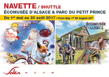 Navette Parc du petit prince et de l'écomusée d'Alsace