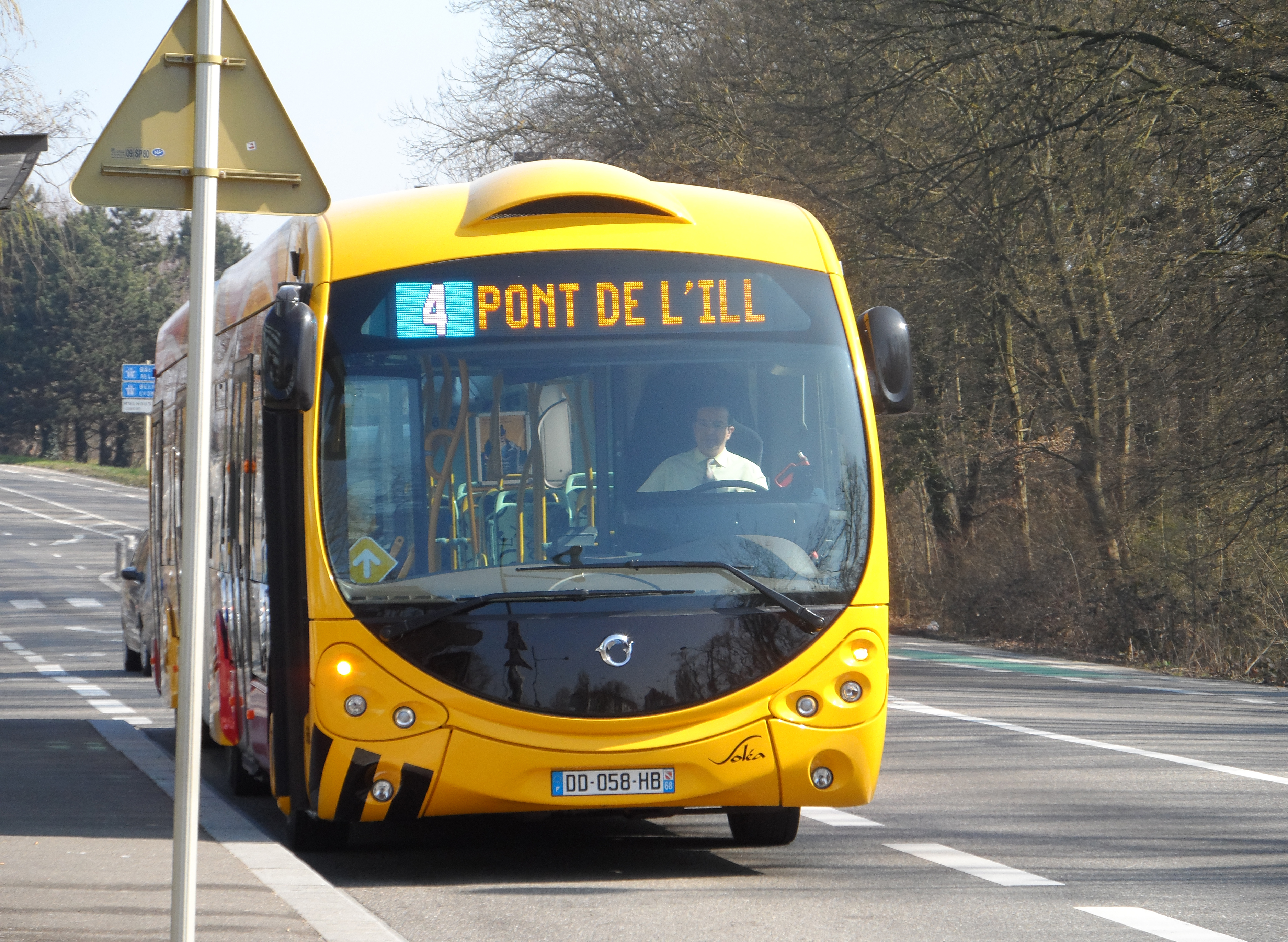 Bus