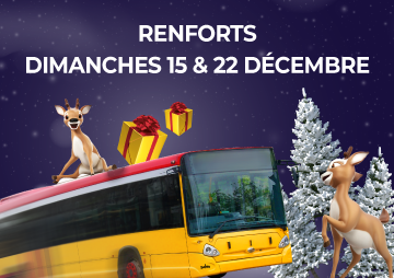 Renforts dimanches 15 & 22 décembre