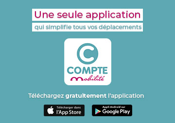 Nouvelle vignette CM
