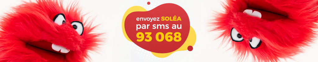 ticket sms