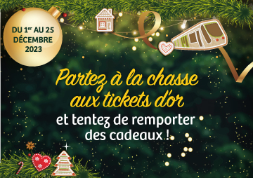 Plateforme jeu Ticket d'Or