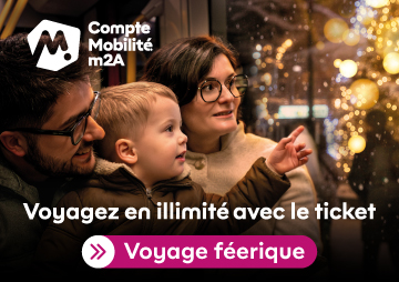 ticket voyage féerique