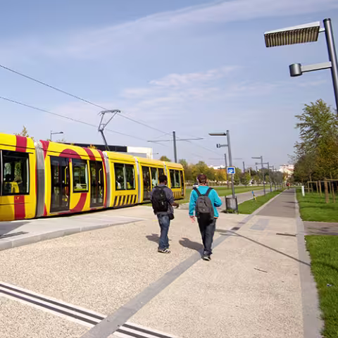 Le long des voix de circulation du tram